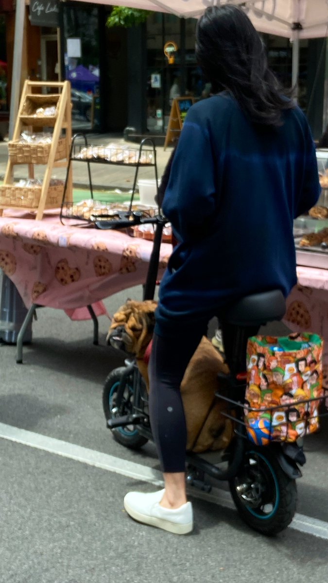 #ShakespeareSunday 

As a fair day in summer, 
wondrous fair. 

Pericles, II,5