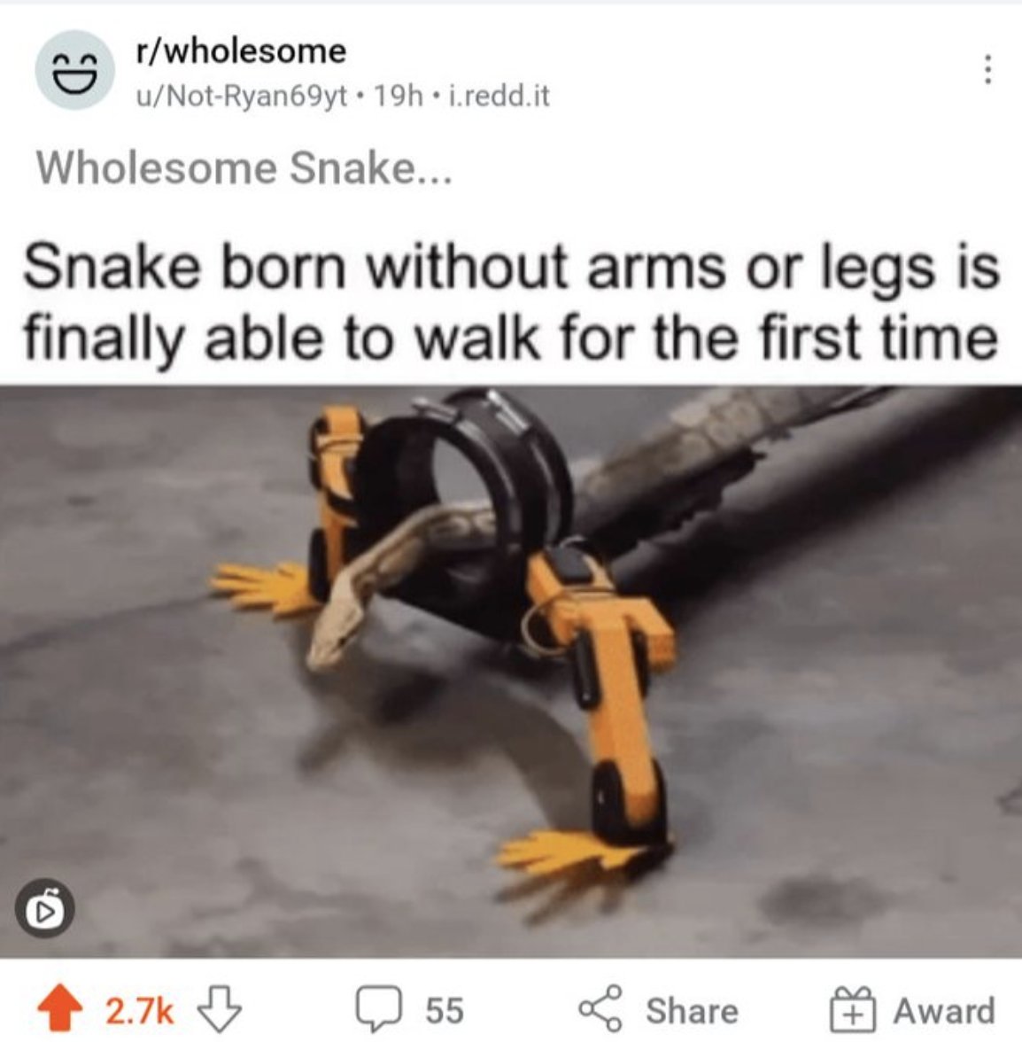 goodredditss's tweet image. 