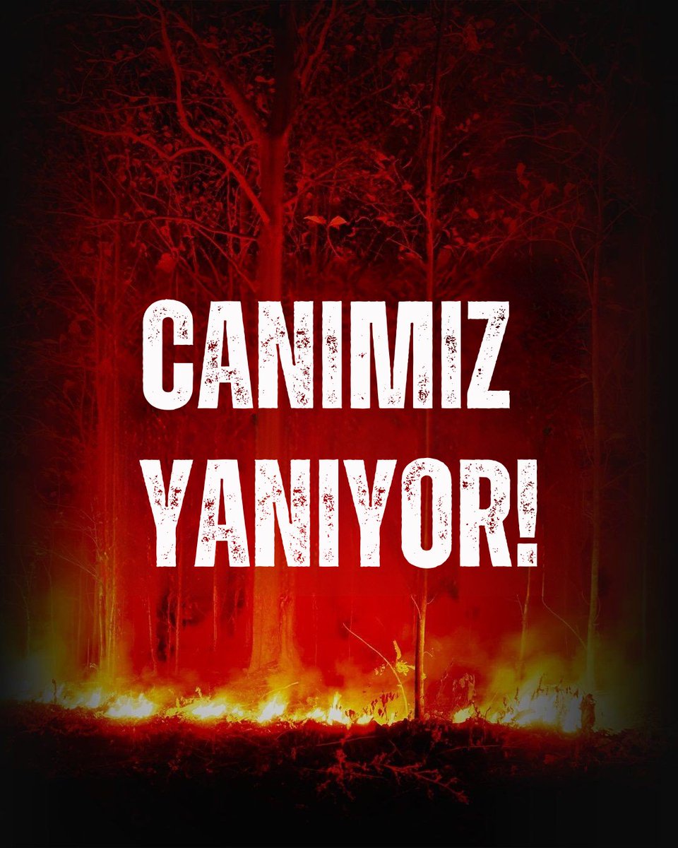 Ülkemizin farklı bölgelerinde çıkan orman yangınları hepimizi derinden üzüyor. 

Yangınların en kısa sürede söndürülmesini diliyor, etkilenen herkese geçmiş olsun diyoruz. 

Zorlu şartlarda fedakârca çalışan tüm ekiplere güç ve kolaylıklar diliyoruz.