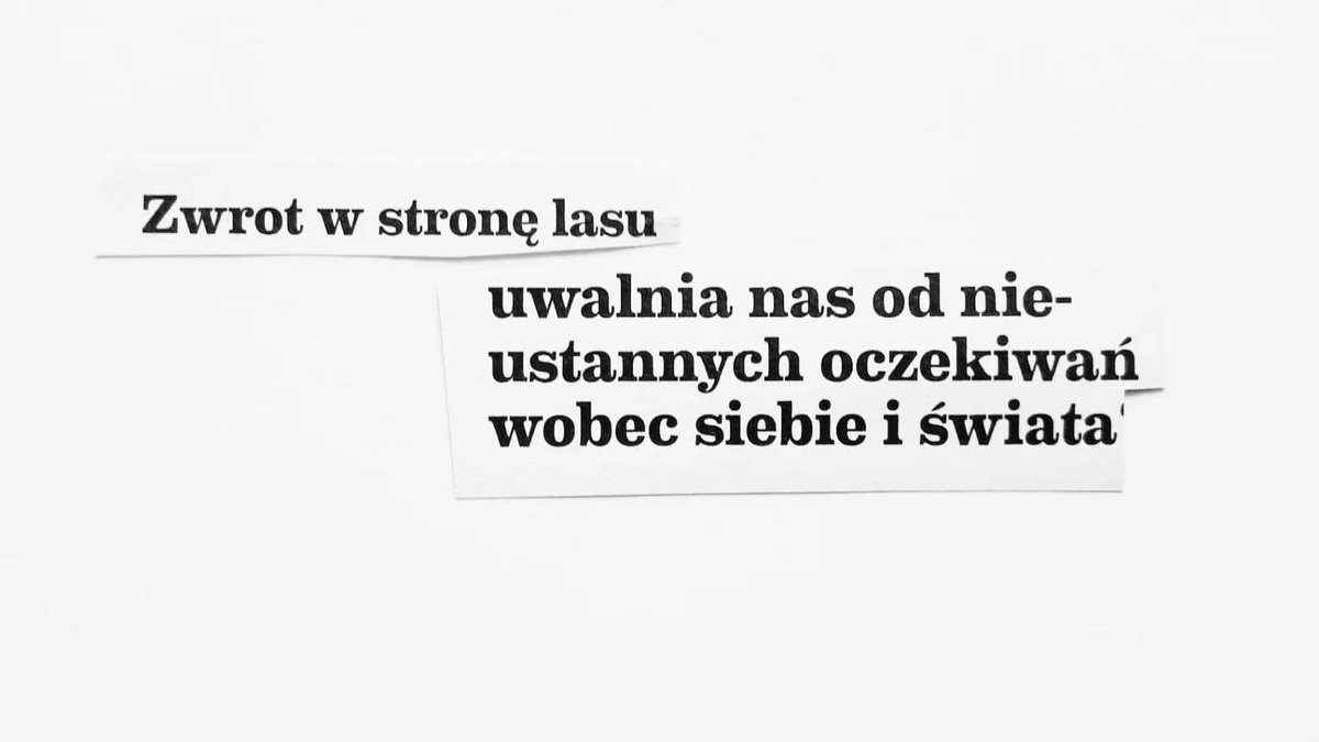 BlueBird270956's tweet image. Wycinki w termosie