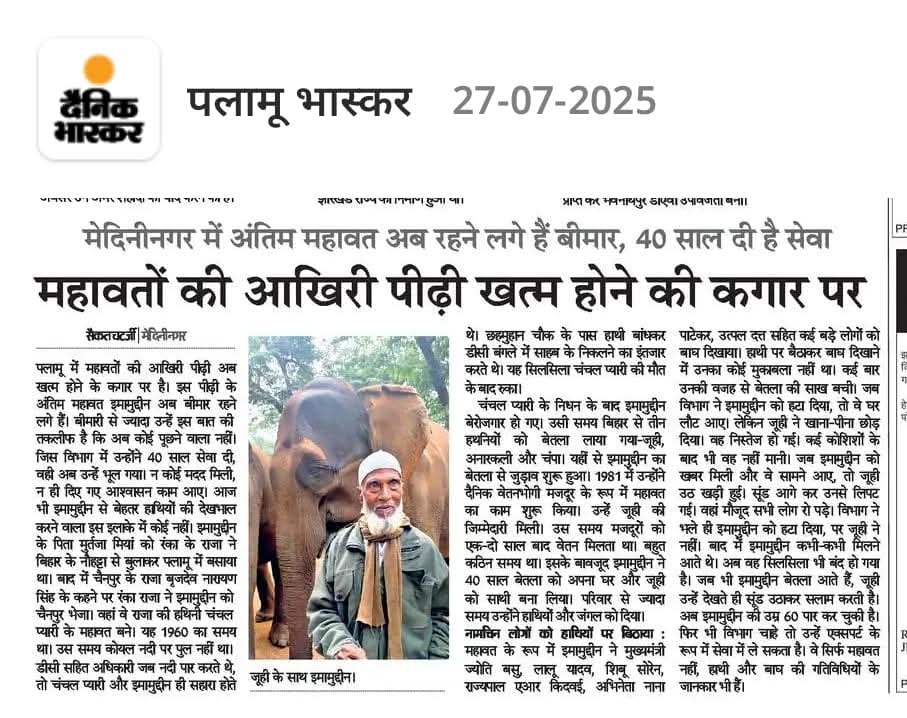 Sunny shukla (Rohan) (@sunnypalamu) on Twitter photo इमामुद्दीन जी,बेतला के इमोशन हैं।जूही झारखंड की हाथियों की राजमाता और नेशनल गेम्स की शुभंकर रही है।इमामुद्दीन जी इसके महावत हैं,जिन्होंने गुरुजी से लेकर नाना पाटेकर तक को सवारी कराई है।सरकार से विनम्र अनुरोध है कृपया इमामुद्दीन की मदद की जाए।
<a href="/HemantSorenJMM/">Hemant Soren</a>
<a href="/kumarsudivya/">Sudivya Kumar</a> इमामुद्दीन जी,बेतला के इमोशन हैं।जूही झारखंड की हाथियों की राजमाता और नेशनल गेम्स की शुभंकर रही है।इमामुद्दीन जी इसके महावत हैं,जिन्होंने गुरुजी से लेकर नाना पाटेकर तक को सवारी कराई है।सरकार से विनम्र अनुरोध है कृपया इमामुद्दीन की मदद की जाए।
<a href="/HemantSorenJMM/">Hemant Soren</a>
<a href="/kumarsudivya/">Sudivya Kumar</a>