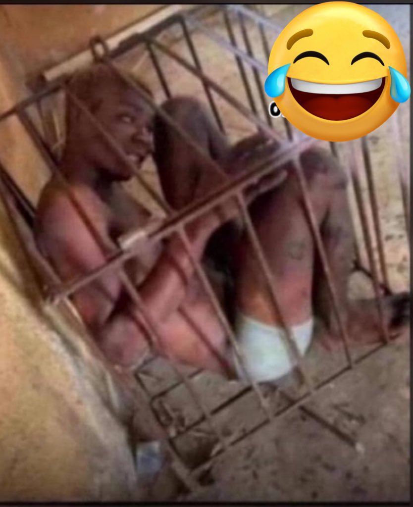 mariocrypto27's tweet image. How locked in are you on succinct?

Me 👇