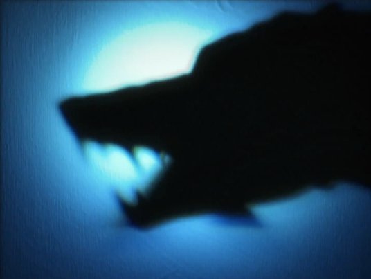 J00BEBE's tweet photo. This is a wolf riiiiight??? π
Do we think the same thing??
#λͺ¬μ€νμμ€ #MONSTAX_COMINGSOON #MONSTAX
#MONSTA_X https://t.co/mYFtvk5cbz