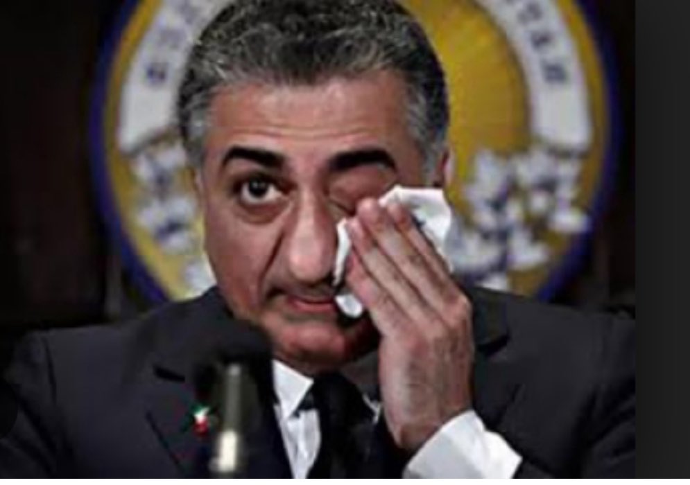 shisaid3's tweet image. هدف از همایش همکاری ملی در مونیخ :
یک تعداد بی پدر در مونیخ دور هم گرد آمدند که ثابت کنند #رضا_پهلوی پدر آنهاست .