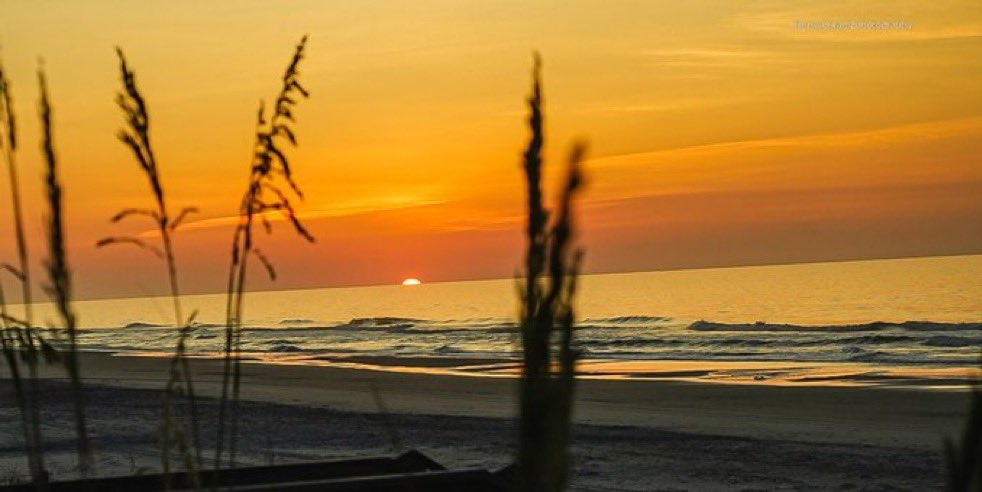 jbmbcoast's tweet image. Good morning from Myrtle Beach! Going to be a scorching 98 today and well into the low 100’s inland. Heat index already sitting at 100 at 9:20. I still love summer! Be careful out there today.🌞☕️☕️
