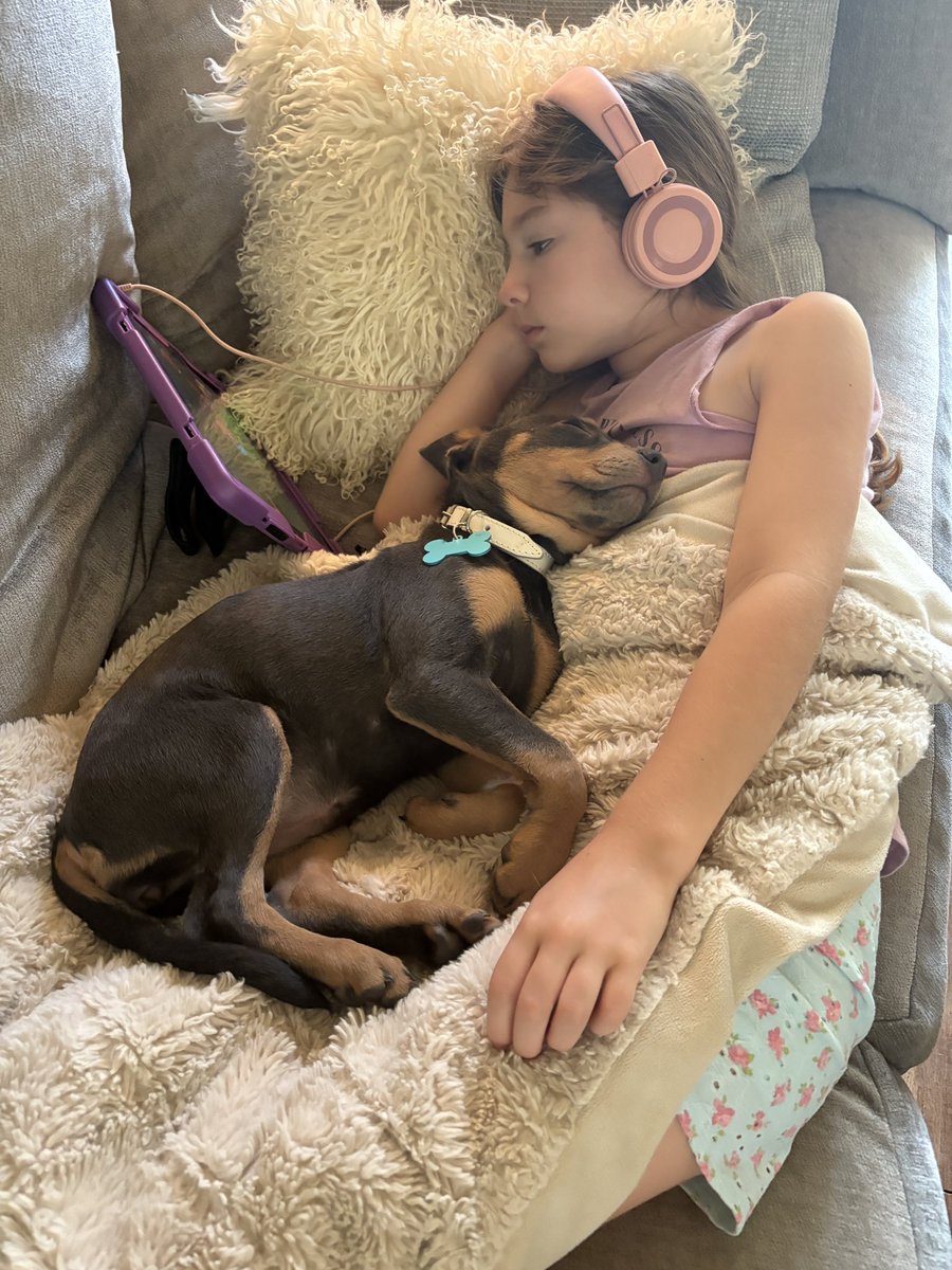 CrunchyMAGAMama's tweet image. Everyone, meet JOSIE! 2 days ago, we welcomed this sweet lil angel into our family! She and her litter mates were rescued after being dumped in the middle of nowhere in South Texas. And somehow, we found each other! She’s such an amazing puppy. Soooooooo sweet! SO SNUGGLY! So…