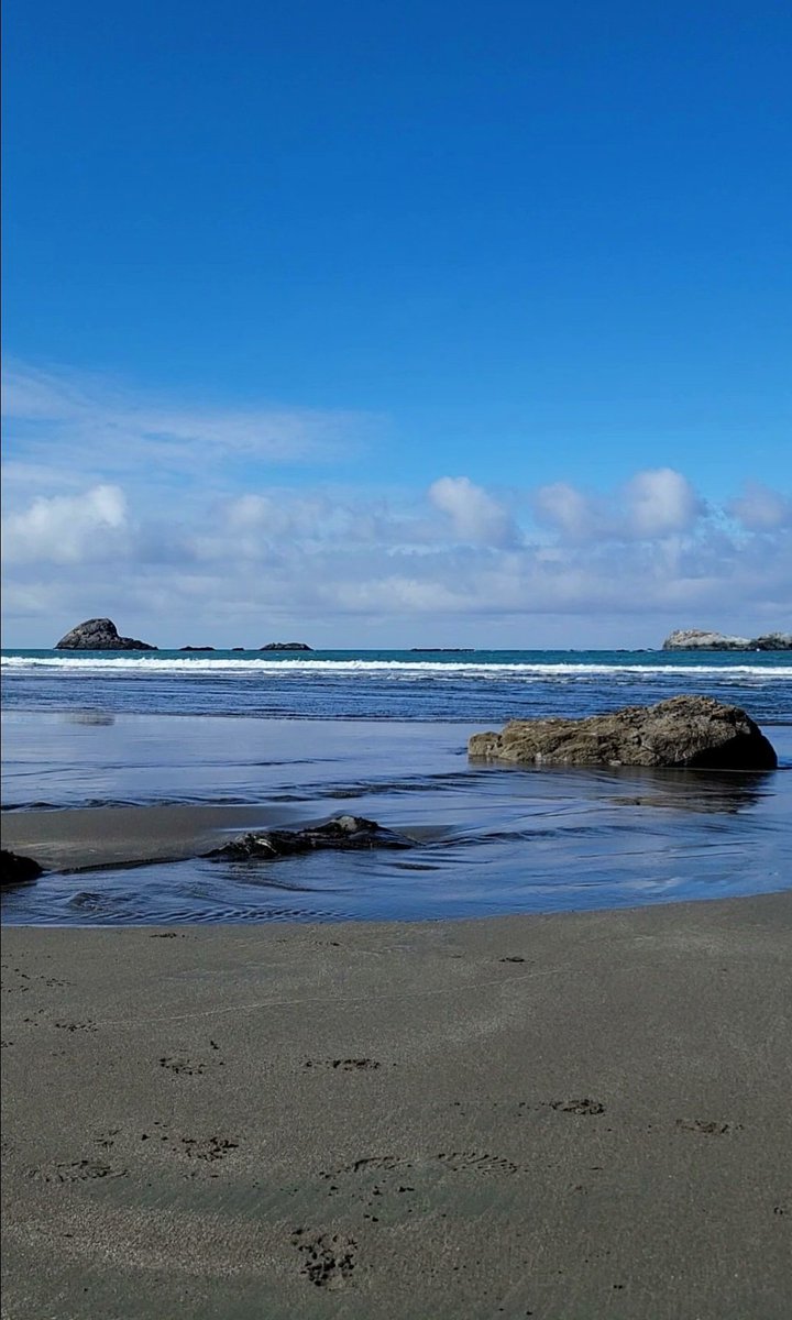lone_wolf__1's tweet image. some nor cal vitamin sea 💦