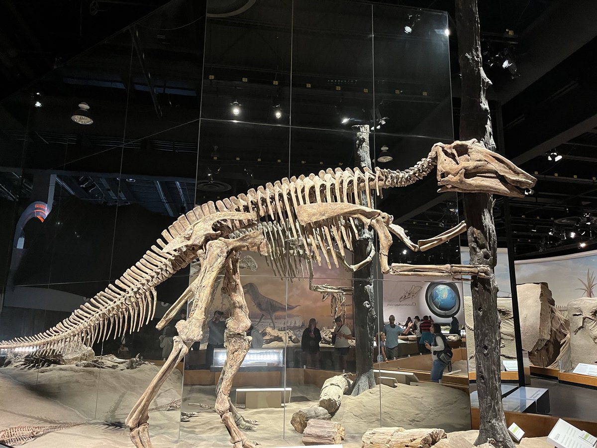 si_rubinstein's tweet image. .@holland_tom wasn’t lying — what an excellent museum!