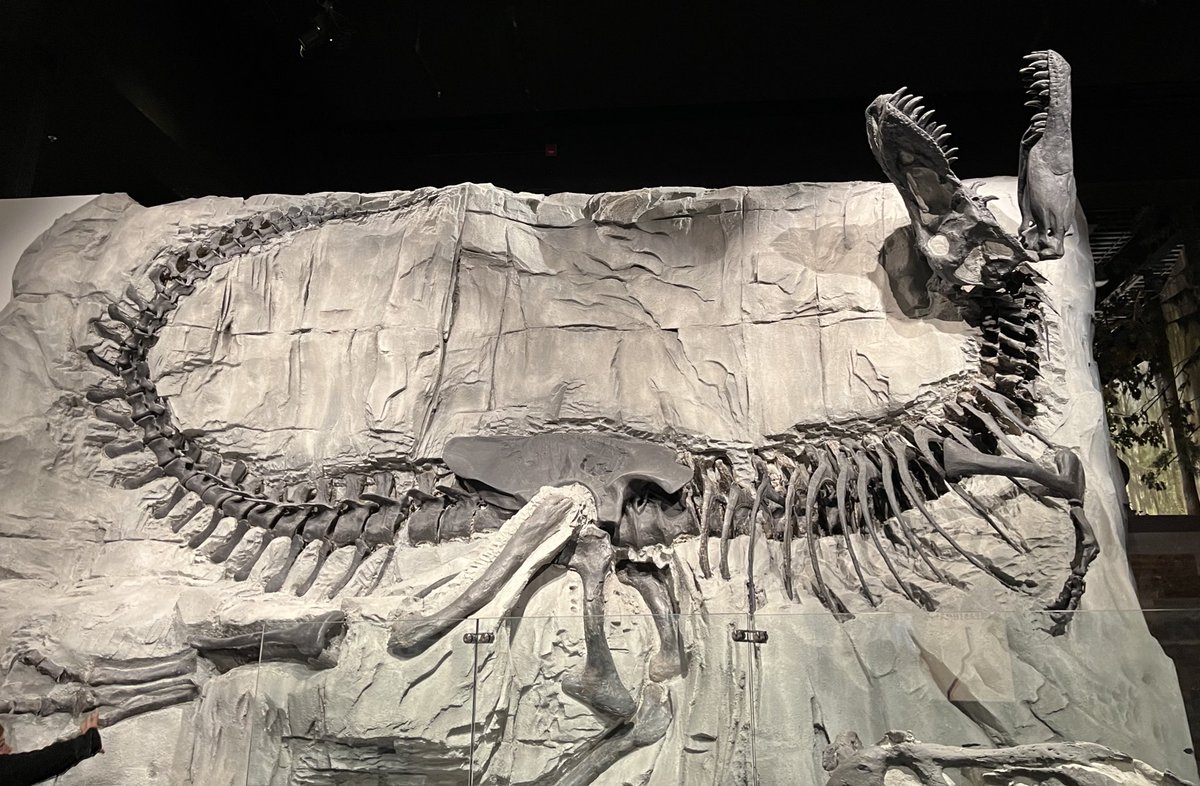 si_rubinstein's tweet image. .@holland_tom wasn’t lying — what an excellent museum!