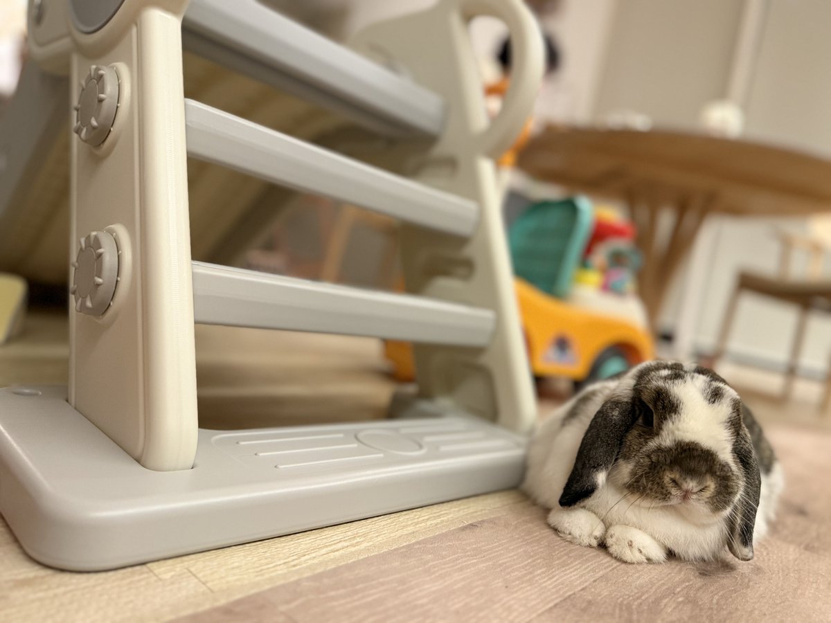 kurokurotsukipi's tweet image. つきみ🐰「すべりだいのかいだんしたが、さいきんのおきにいり♡」