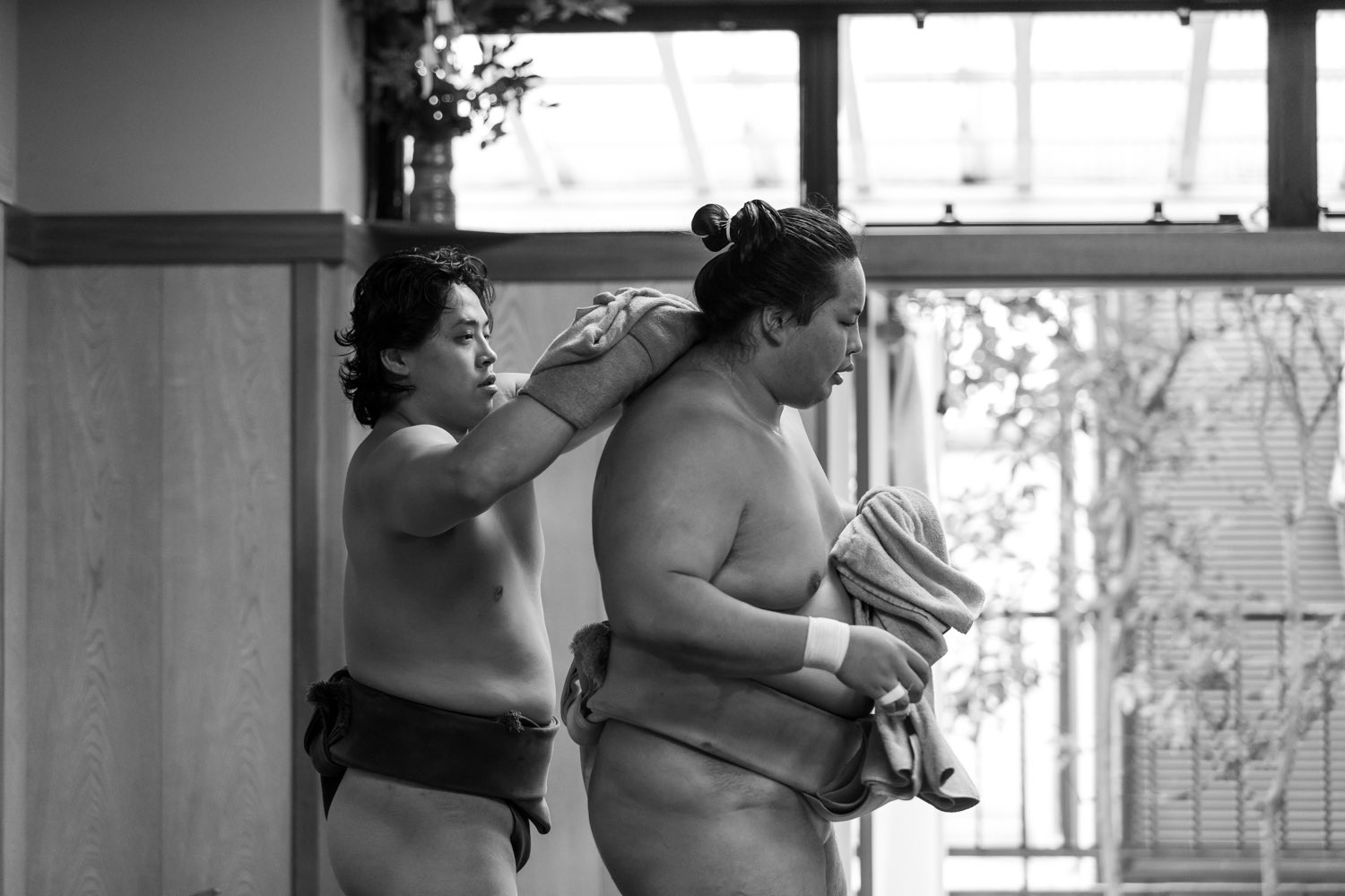 パンダさま　名古屋場所　大相撲　タマリ パンダさま 名古屋場所 大相撲 タマリ 平幕琴勝峰、25歳の大器が