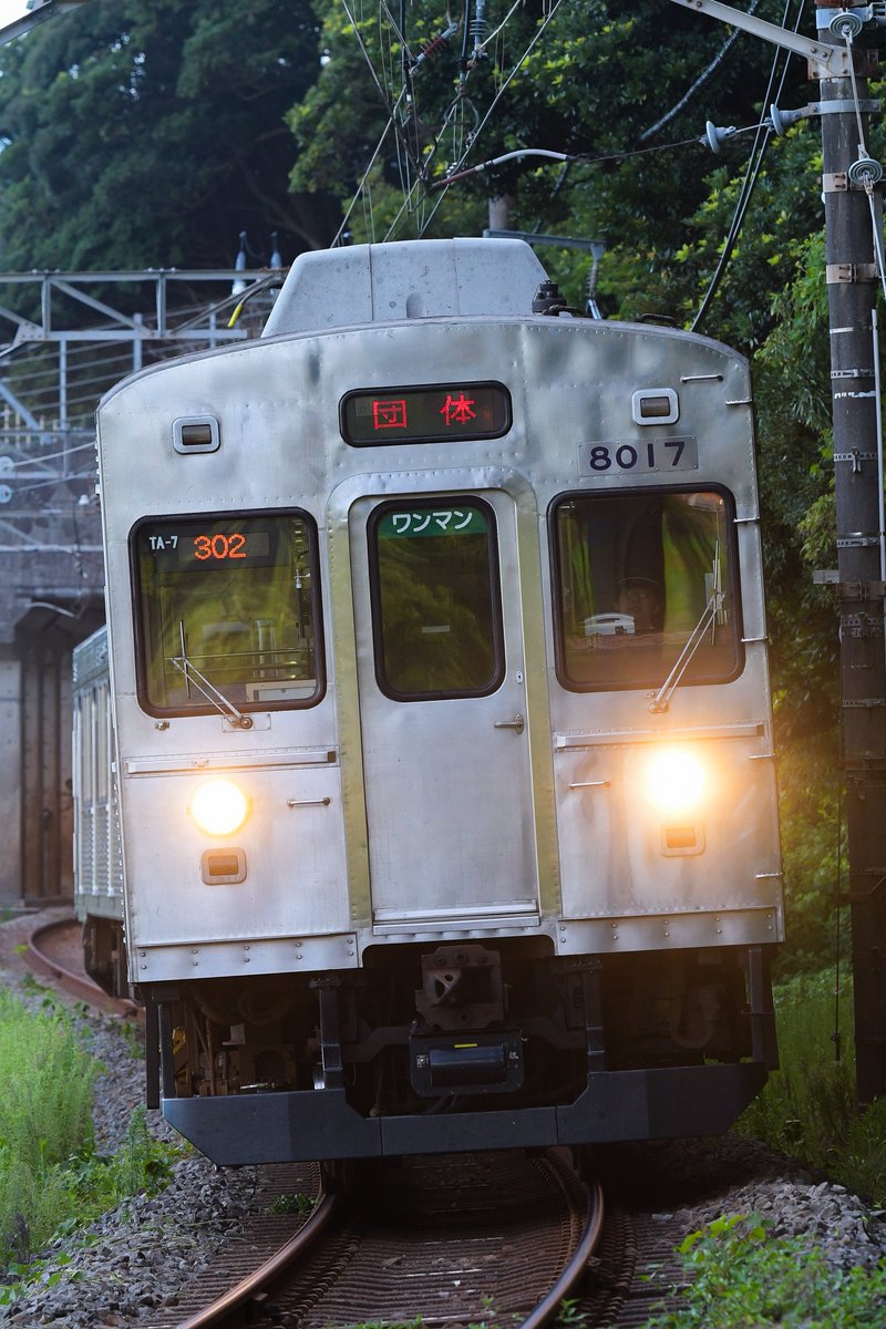 7.27
301/302レ
伊豆急8000系TA-7編成団体臨時列車
念願の無塗装団体幕にオタクスマイル。
参加された皆様、並びに主催者様方本日はおつかれ様でした。貴重な機会をありがとうございました。
