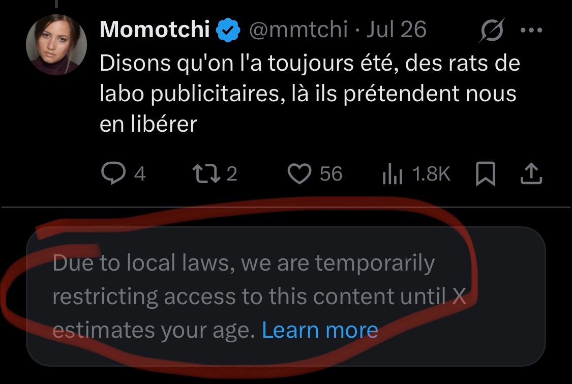 🔥🔥🔥Ok les choses sérieuses commencent.
X commence à vouloir "vérifier votre âge" =comprenez vérification d'identité. Ils bloquent des posts.

Ils vont le faire soit par reconnaissance faciale soit en demandant votre carte d'identité.
Si vous aviez mis une date de naissance