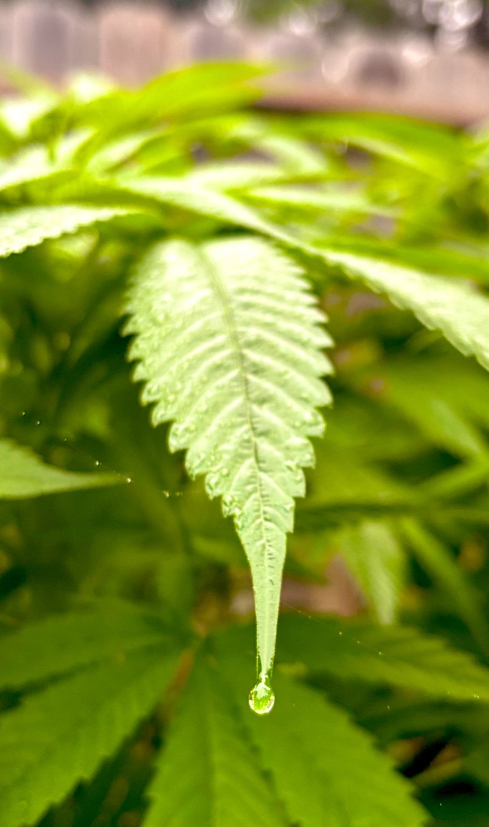 WeedVet's tweet image. ….yea…. 

One of the many reason why I love this sport….