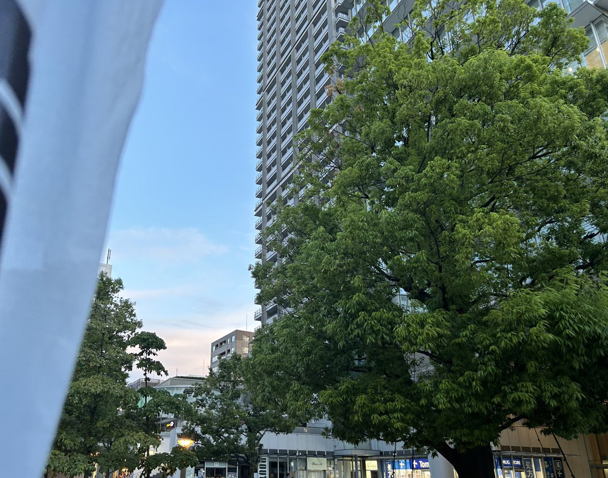 kamiya_chuo's tweet image. ▶︎街頭活動
今日も浜町中の橋交差点、トルナーレ前で街頭活動も行いました。

数多くの叱咤激励、ありがとうございました！

#中央区 #中央区議会議員 #かみや俊宏
#街頭活動 #トルナーレ #浜町中の橋