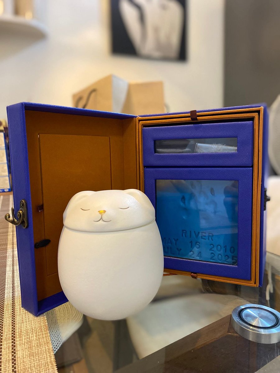 stellarwonwoo_'s tweet image. my baby is back home in his cute little eggshell ๐๐ถ
(sorry for the lack of svt related posts as i'm still coming to terms with my pet's passing.)