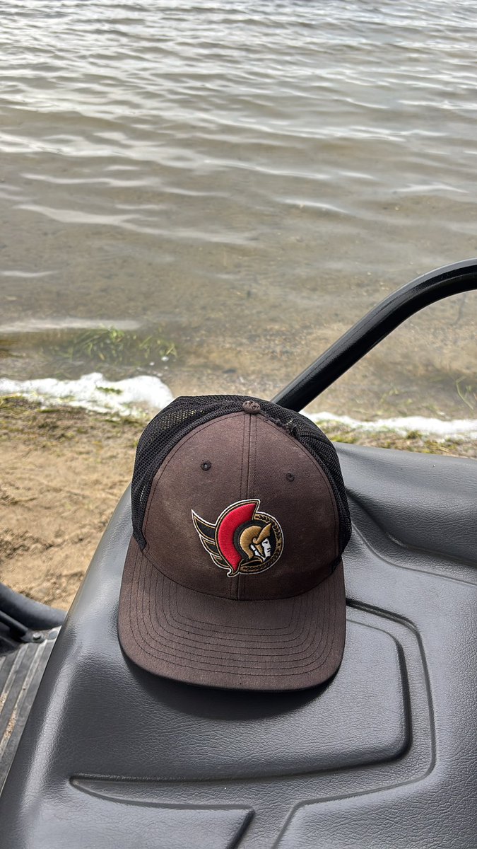 SensAfterDark's tweet image. There saying GO SENS GO by the lake #sensarmy