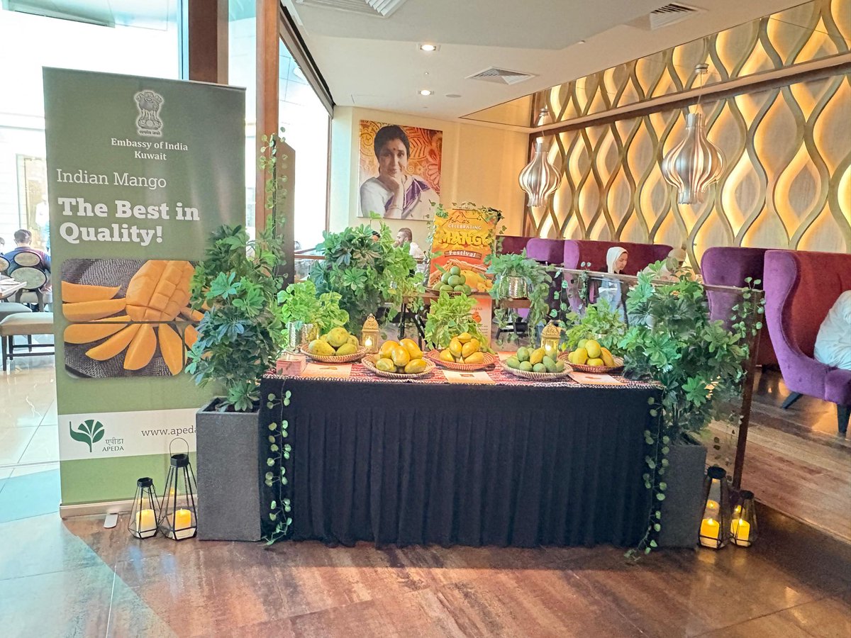 indembkwt's tweet image. As part of Indian Mango Festival in Kuwait, Embassy @indembkwt collaborated with Asha’s, a well-known Indian restaurant chain in Kuwait. Different varieties of 🇮🇳 mangoes and mango-based dishes were served to customers in Asha’s on 25-26 July