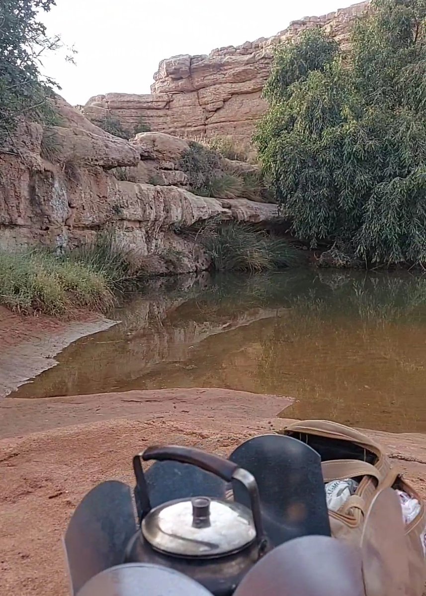 ZG9hcek2DAKiRlt's tweet image. مكان المتقاعد هنا للتقاعد زينة ستسجلبها معك في اي مكان تتواجد بعيدا عن وحل الضجيج وهو السكون نتسلق كل الحواف نتزلج على منحنيات لم تطرق ونصل الى مجاهل قرأنا عنها ولم تحدد بأطلس تلك الأماكن في مكامن الروح وثنياتها الأبعد من ادراك الآه المتواثبة في صدر النهارات
تصويري
#المتقاعدين