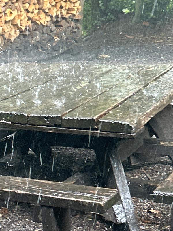 MeteoSchweiz tweet media