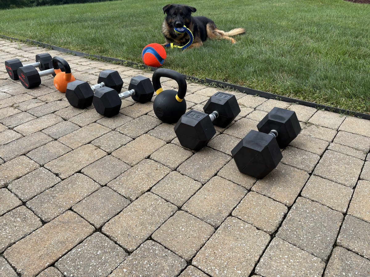 SurplusOfCash's tweet image. moisture soaking the weights
drowning the lungs
humidity HIIT we luv bb