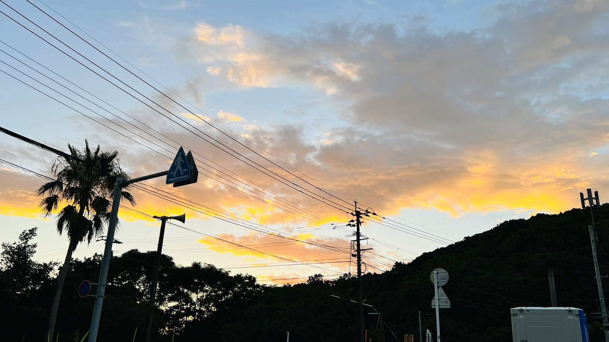 Ashe@まろ茶໒꒱· ﾟ⛄️🩷B♭M7 (@marotea1126) / X