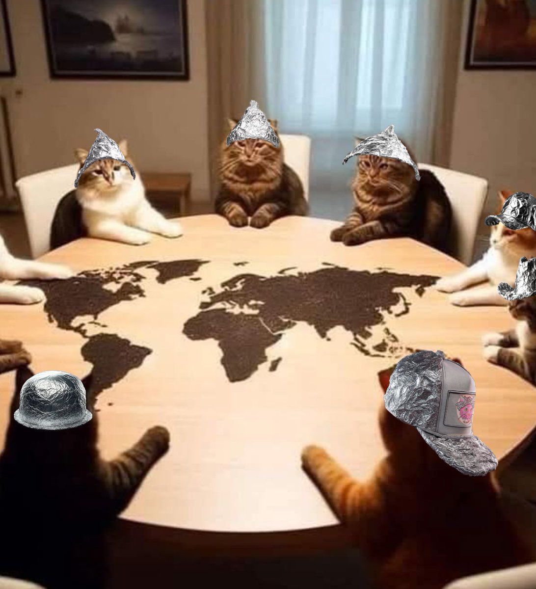 TinHat_Cat's tweet image. Planning the next big CAT-ASTROPHE
$THC
0x17Af1Df44444AB9091622e4Aa66dB5BB34E51aD5