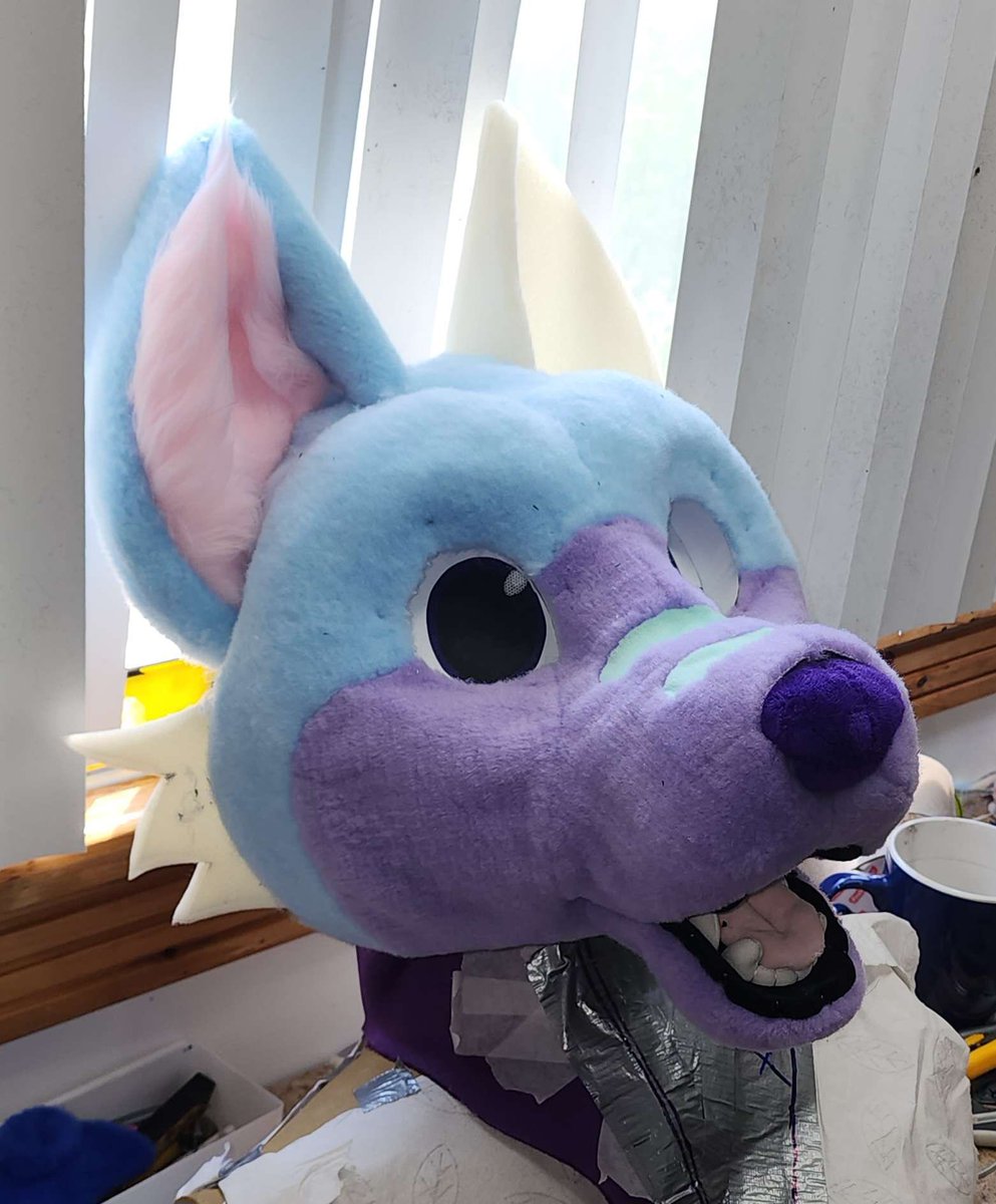 LuckFoxo33's tweet image. That EAR FLUFF THO!!! 

follow my maker ↓
@rileywhiteclaws
