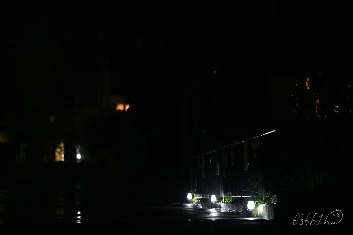 636b1h's tweet image. 雨が降り、湿度が収まると長袖でも肌寒く、
早くお帰りになるご家族も多かった
2025年度円山動物園ドリームナイト・アット・ザ・ズー
「夜の動物園」。
こちらは記録用の一枚だけれど、
真っ暗の中、アンナちゃんとライチくんは夜、近かった‼︎
#シロフクロウ
#アンナ ちゃん #ライチ くん…