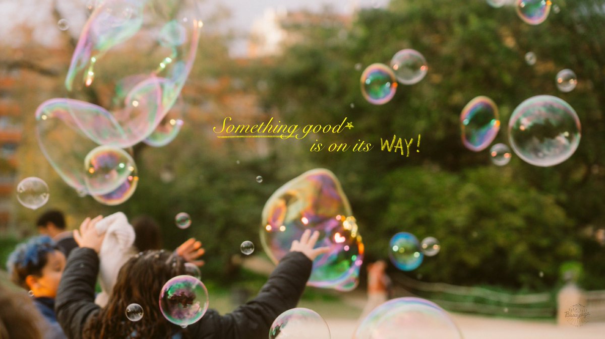 ใบเฟิร์นรักสัตว์ tweet media