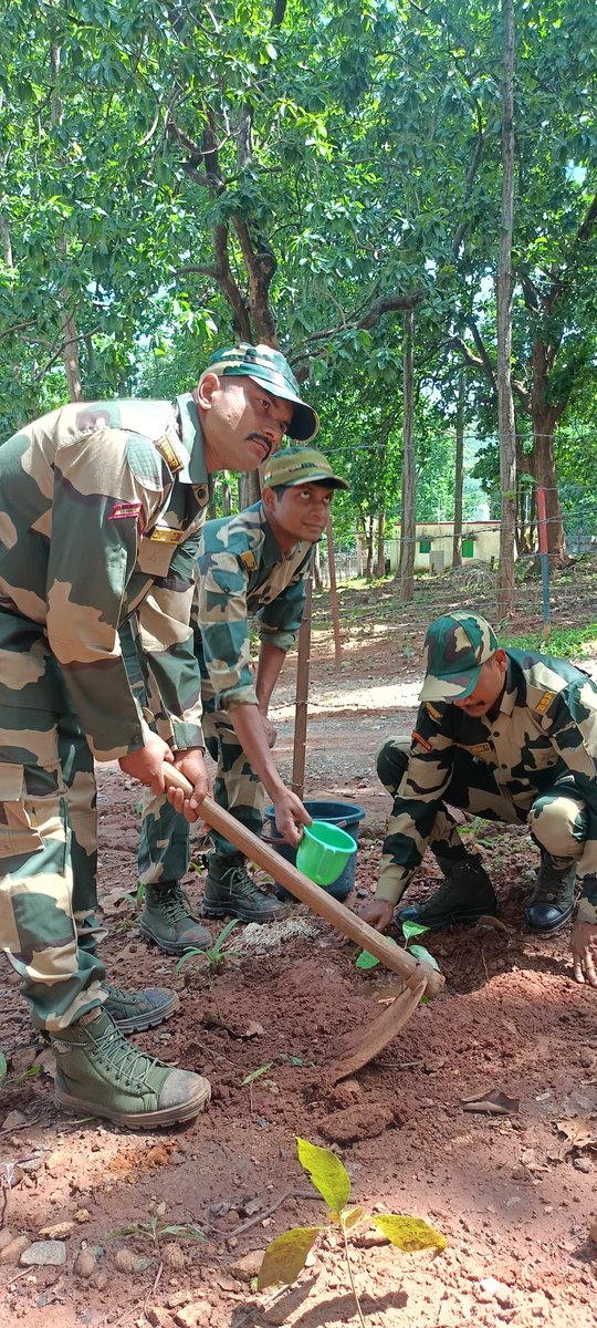 BSFODISHA's tweet image. 🇮🇳 हरित क्रांति का संकल्प!🌱💚
116 बटालियन के सी कंपनी, सीओबी पहिरेजू में पौधारोपण अभियान सफलतापूर्वक चलाया गया। सीमा प्रहरियों ने बड़ी संख्या में नाना प्रकार पौधे लगाए गएऔर पर्यावरण के प्रति अपना संकल्प दोहराया।
#BSF
#BSFOdisha🛞
#पौधारोपण
#हरितभारत
#Sustainablility