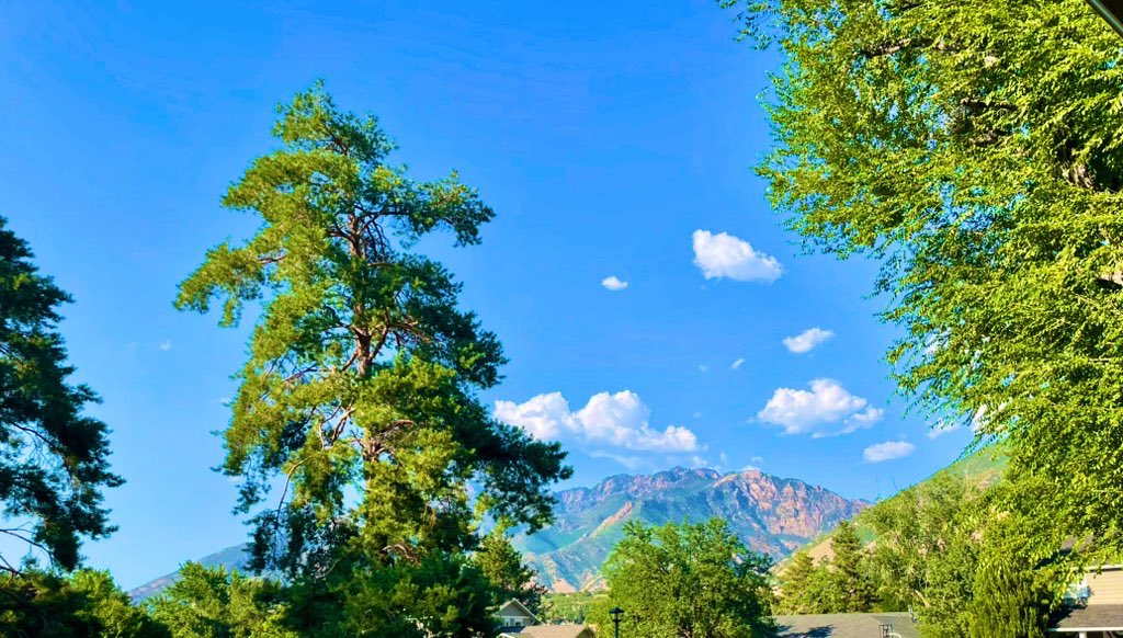 Sunday Funday!!!

🌲⛰️🌳

#Utah