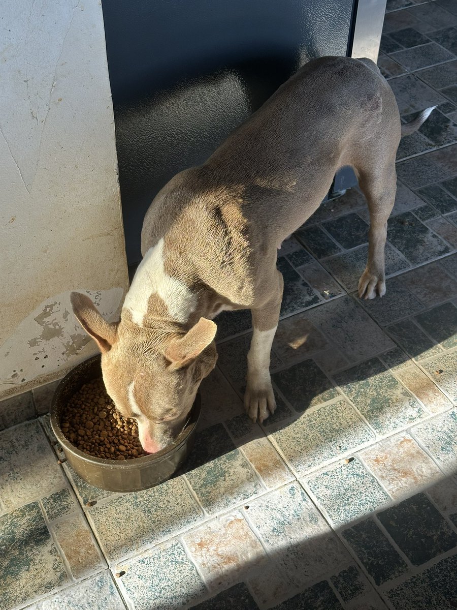 Happy and blessed Sunday. We need help paying for food ($200) and cleaning supplies ($100). It doesn't matter the amount; every little bit helps. 💕