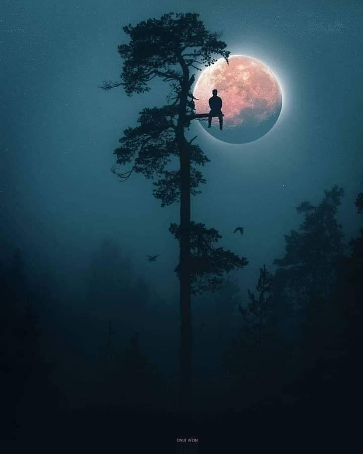 EngAftabAhmed's tweet image. اک ہم ہیں کہ محبت میں مرے جاتے ہیں___!!
ایک وہ ہے کہ اسے کارِ زیاں بولتا ہے___!!
شب بخیر،،، 🍃🍃