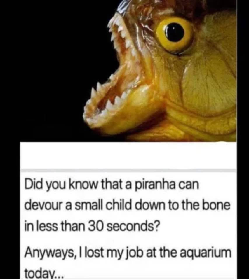 #trivia