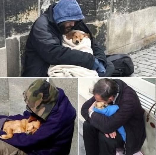 Nel garage coperto dove si trovava il mio ufficio, c’era un senzatetto che dormiva lì ogni notte. Con lui, sempre al suo fianco, un cagnolino spelacchiato, un meticcio tenerissimo. Quando andavo a pranzo, passavo di lì e gli portavo spesso un panino e qualcosa da bere. Lui, ogni