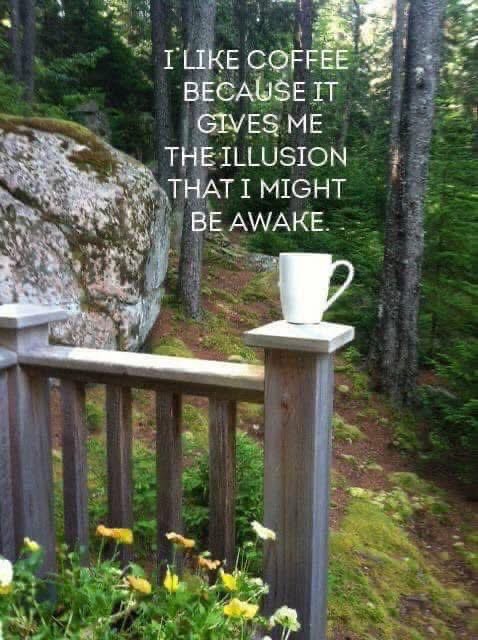 Melinda Howard (@melindahoward4) on Twitter photo 