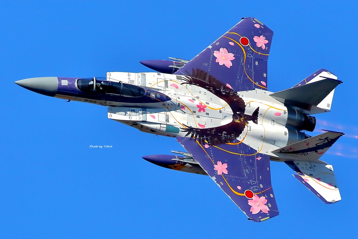 alice_herb's tweet image. #F15初飛行の日