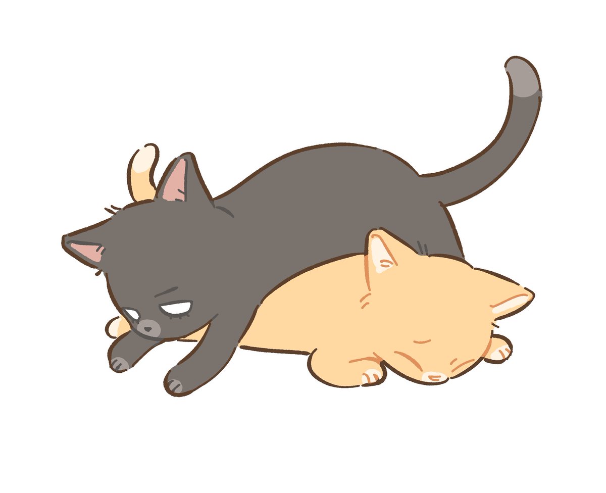 bndbngj's tweet image. 재업22