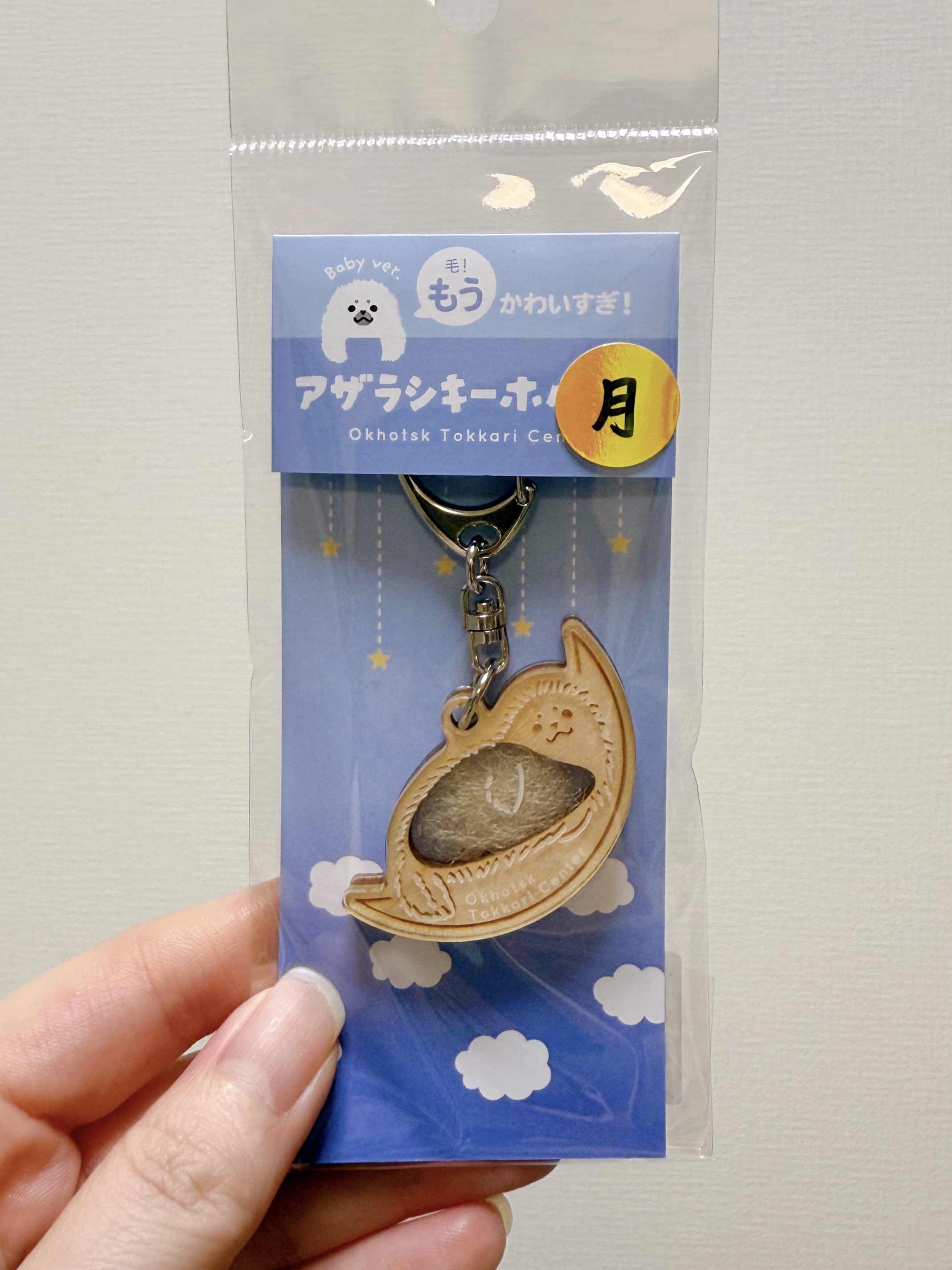 りっきー⋆🦭 on X: 
