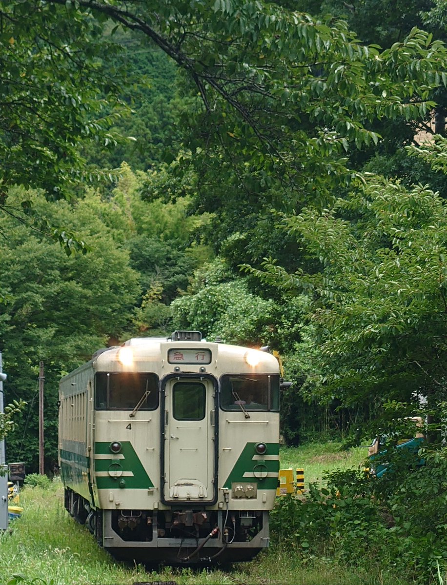 8341195's tweet image. 夏だねおやすみなさい。