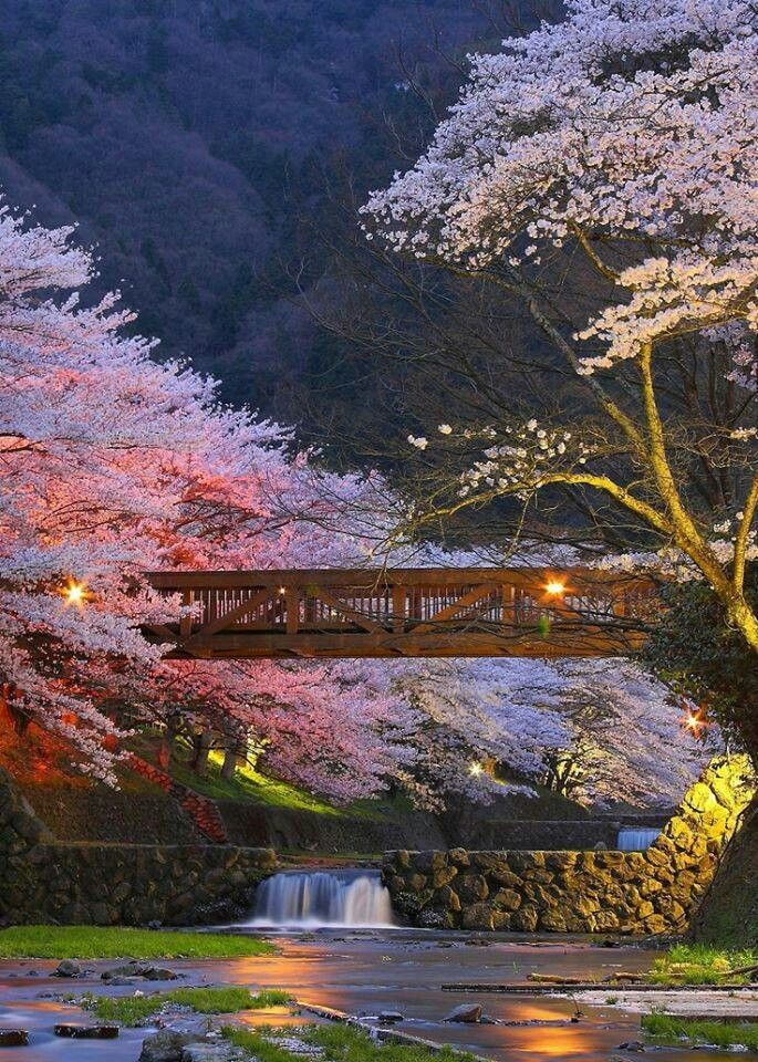 Emma (@naturehub1122) on Twitter photo 