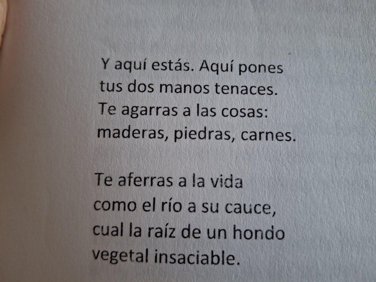 PalaciosAurora's tweet image. ....un hondo vegetal insaciable!

Carlos Bousoño 1923 2015