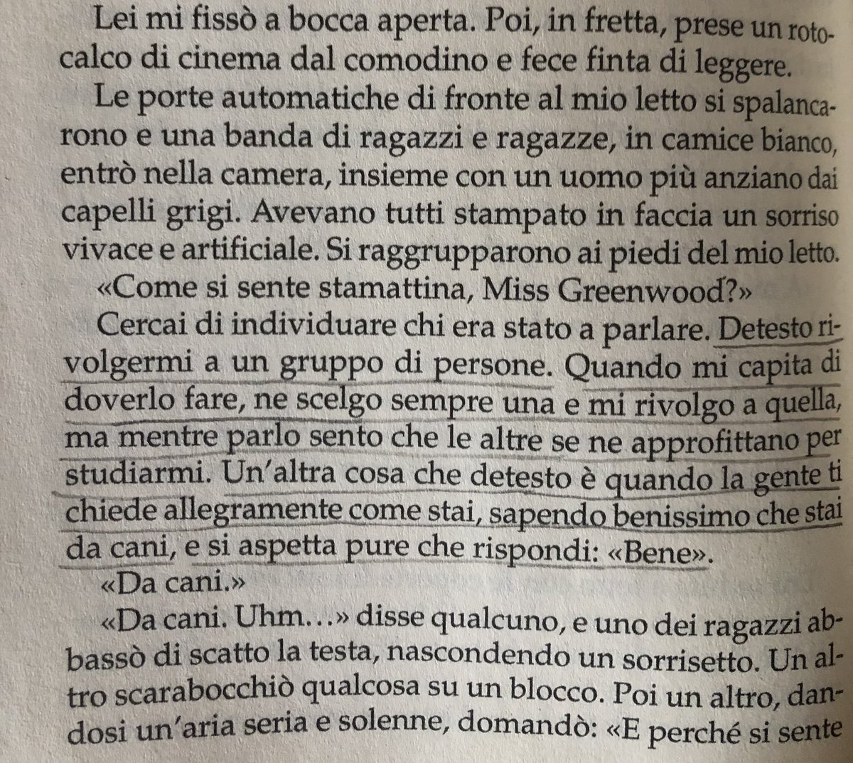 Eust0ma's tweet image. oggi 🪷