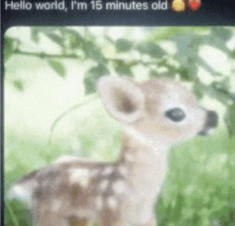 starzigdust's tweet image. babystat crumbs