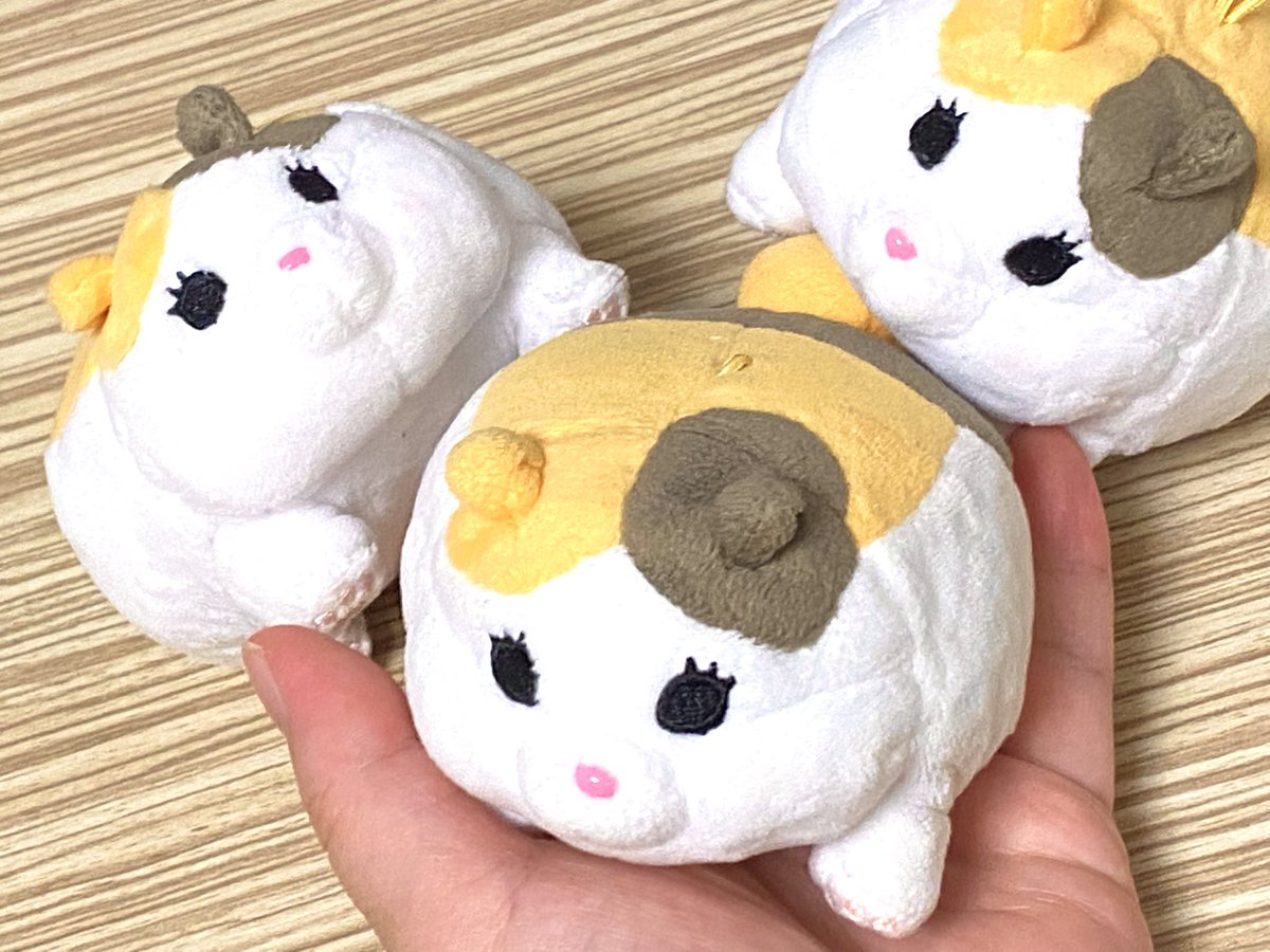 marupokodon's tweet image. だこしてください〜