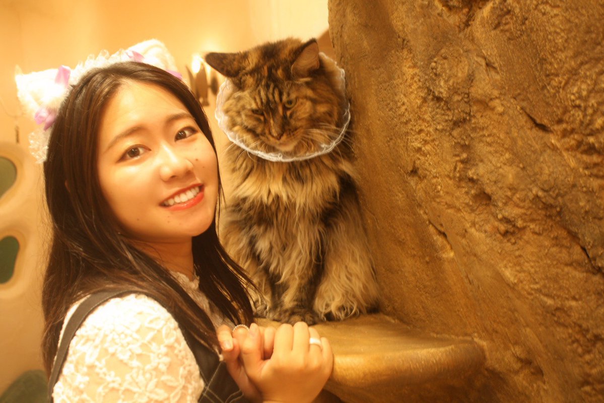NISHIKAWAJISAN's tweet image. 久しぶりの個撮です!!
8/9🐈smooth 猫ちゃん企画🐈⬛
1部:10:30~11:20
2部:11:35~12:25
3部:12:40~13:30
4部:14:10~15:00
5部:15:15~16:05
6部:16:20~17:10
7部:17:25~18:15
smooth-tokyo.jp/schedule/detai…