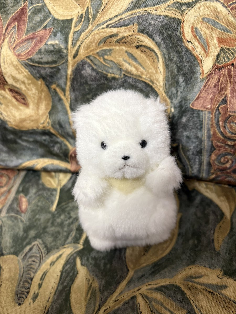 ぬい撮り、ぬいぐるみ旅行!貴方の大切な可愛い相棒に♬