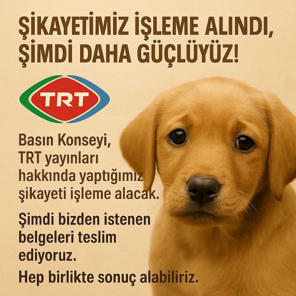 📣📣 TRT’nin Sokak Hayvanları İçin Düşmanlık Yaptığı Yayınları Şikayet Etmiştik. Basın Konseyi'nin Şikayetimizi İşleme Alabilmesi İçin İstediği Belgeleri Gönderiyoruz.

Bu dilekçeyi göndererek ve dilekçe kampanyasını paylaşarak bana destek olur musun?🙏 

jointvoice.com/campaign/277/