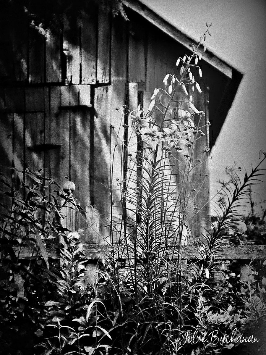 JolieBStudios's tweet image. Summertime
#analog #summer
#JBSArt #JolieBStudios  buff.ly/EfVa8Qb